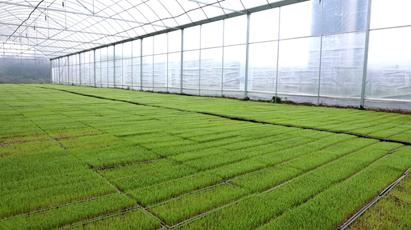 ScreenShot_2026-03-25_153023_010_副本.png ScreenShot_2026-03-25_153023_010_副本.png