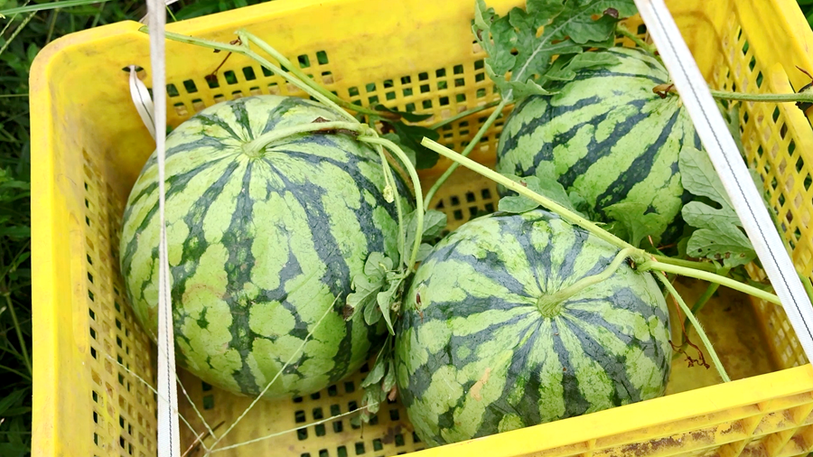 8_副本.png