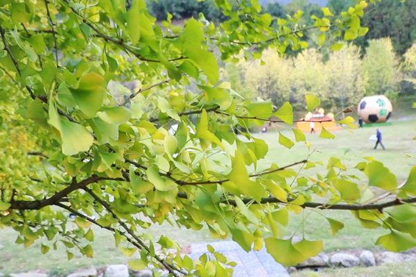 ScreenShot_2025-11-10_152709_418_副本.png ScreenShot_2025-11-10_152709_418_副本.png