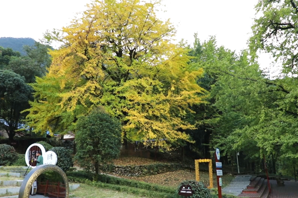 ScreenShot_2025-11-10_152756_938_副本.png ScreenShot_2025-11-10_152756_938_副本.png